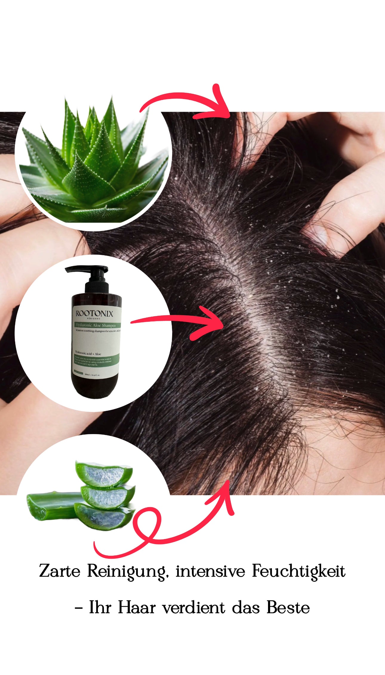 Hyaluronic Aloe Shampoo